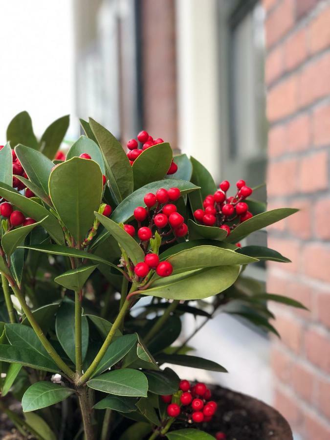 De Oude Wasserij Doesburg Esterno foto